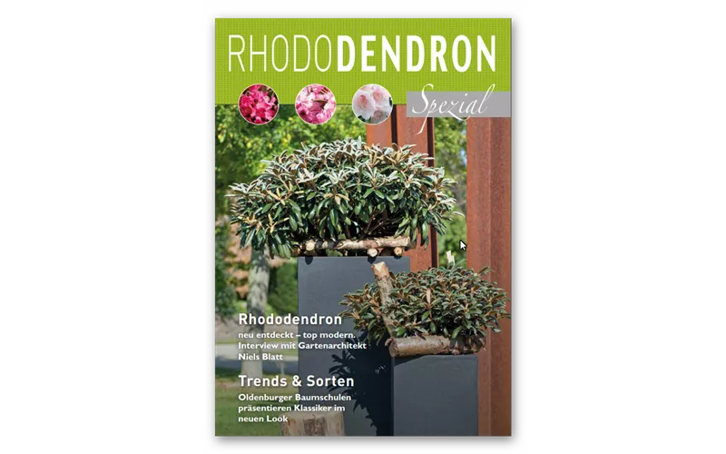Rhododendron Broschüre