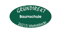 Baumschule Gründirekt, Wiefelstede