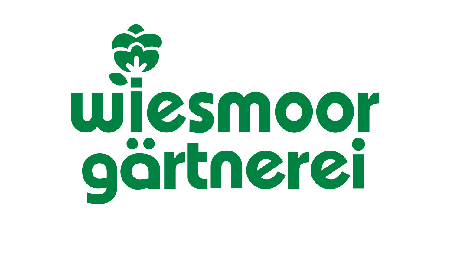 Wiesmoor-Gärtnerei, Wiesmoor