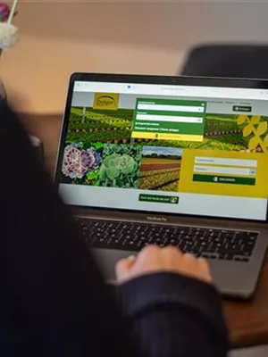 Delgers neuer B2B Shop erleichtert den Bestellprozess