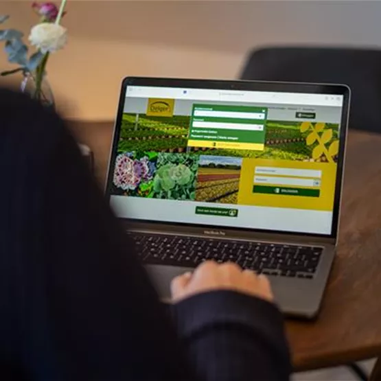 Delgers benutzerfreundlicher B2B Shop.jpg
