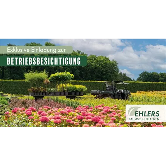 Einladung.jpg