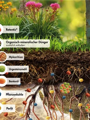 Hermann Meyer KG - GROWtect PflanzVital Retentis®, 4,5-6-3(+2MgO)